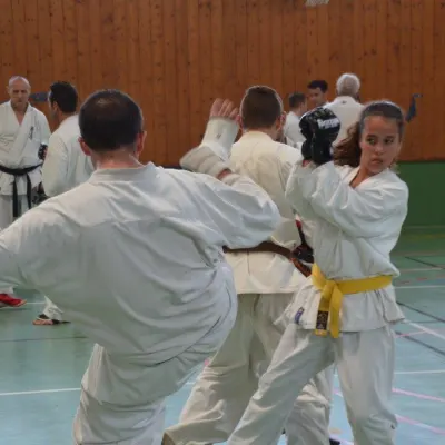 Passage de grades zone sud 2015 — photo 34 sur 120