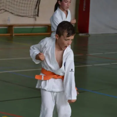 Passage de grades zone sud 2015 — photo 35 sur 120