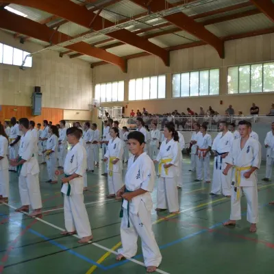 Passage de grades zone sud 2015 — photo 36 sur 120