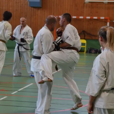 Passage de grades zone sud 2015 — photo 37 sur 120