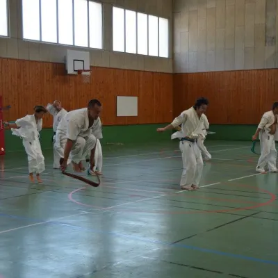 Passage de grades zone sud 2015 — photo 38 sur 120