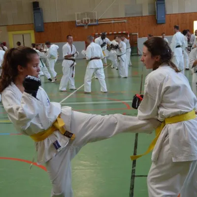 Passage de grades zone sud 2015 — photo 58 sur 120