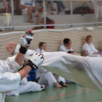Passage de grades zone sud 2015 — photo 63 sur 120