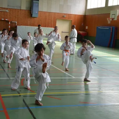 Passage de grades zone sud 2015 — photo 67 sur 120