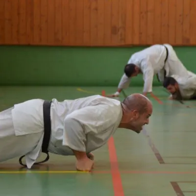 Passage de grades zone sud 2015 — photo 72 sur 120