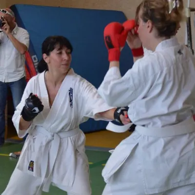 Passage de grades zone sud 2015 — photo 82 sur 120