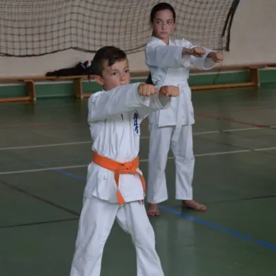 Passage de grades zone sud 2015 — photo 87 sur 120