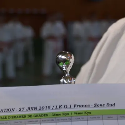 Passage de grades zone sud 2015 — photo 88 sur 120