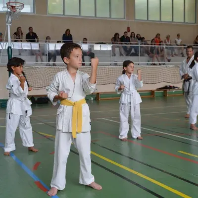 Passage de grades zone sud 2015 — photo 90 sur 120