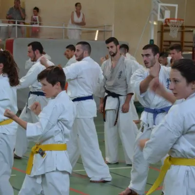 Passage de grades zone sud 2015 — photo 91 sur 120