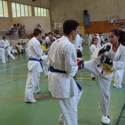 Passage de grades zone sud 2015 — photo 98 sur 120