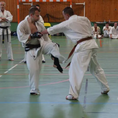 Passage de grades zone sud 2015 — photo 99 sur 120
