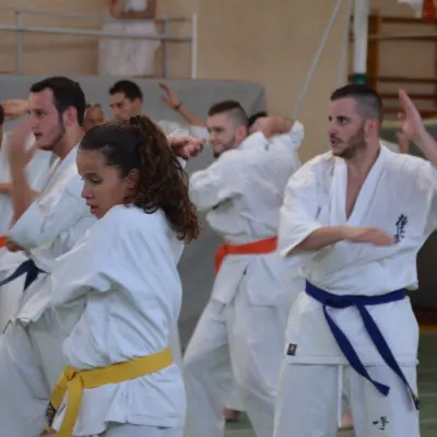 Passage de grades zone sud 2015 — photo 100 sur 120