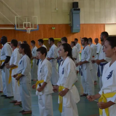 Passage de grades zone sud 2015 — photo 101 sur 120
