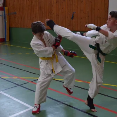 Passage de grades zone sud 2015 — photo 104 sur 120