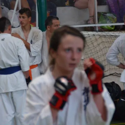 Passage de grades zone sud 2015 — photo 112 sur 120