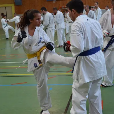 Passage de grades zone sud 2015 — photo 114 sur 120