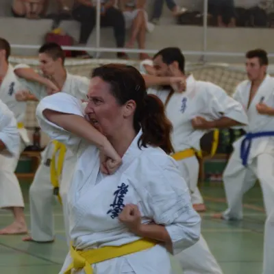 Passage de grades zone sud 2015 — photo 116 sur 120
