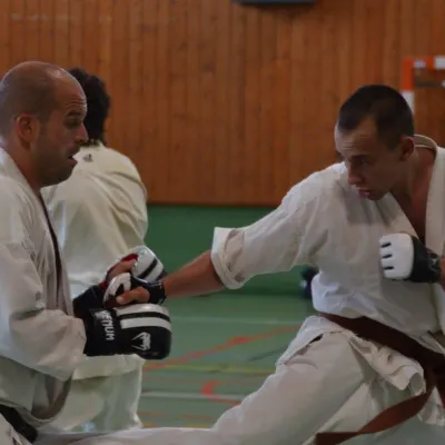 Passage de grades zone sud 2015 — photo 120 sur 120