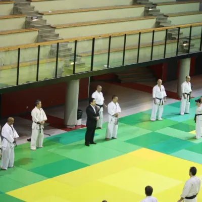 Stage avec Kancho Matsui 2009 — photo 5 sur 9