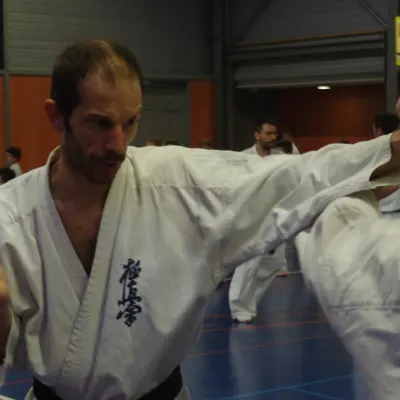 Stage avec Shihan André Gilbert 2012 — photo 1 sur 59