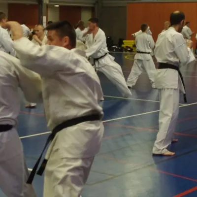 Stage avec Shihan André Gilbert 2012 — photo 3 sur 59