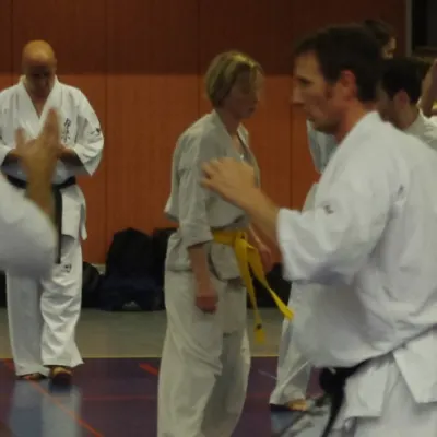 Stage avec Shihan André Gilbert 2012 — photo 4 sur 59