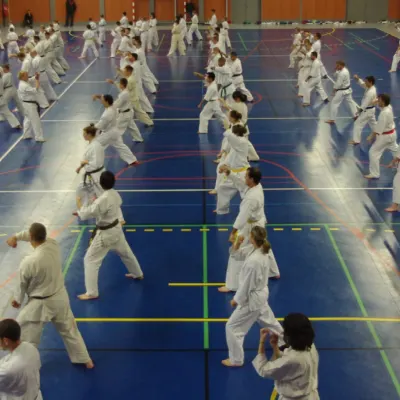 Stage avec Shihan André Gilbert 2012 — photo 12 sur 59