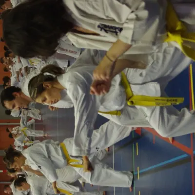 Stage avec Shihan André Gilbert 2012 — photo 13 sur 59