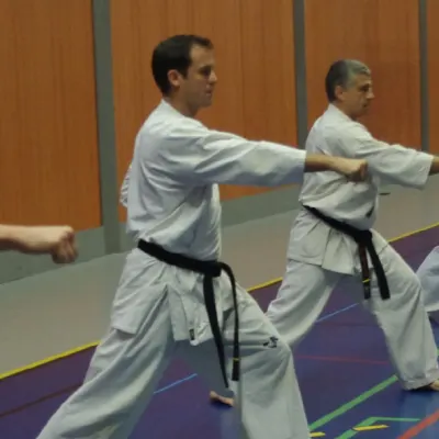 Stage avec Shihan André Gilbert 2012 — photo 14 sur 59