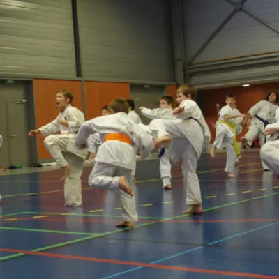 Stage avec Shihan André Gilbert 2012 — photo 16 sur 59