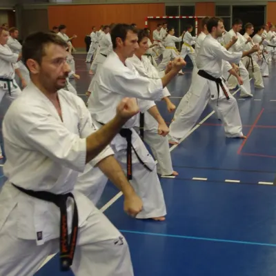 Stage avec Shihan André Gilbert 2012 — photo 18 sur 59