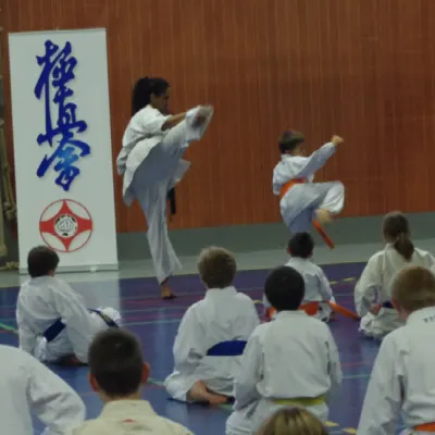 Stage avec Shihan André Gilbert 2012 — photo 19 sur 59