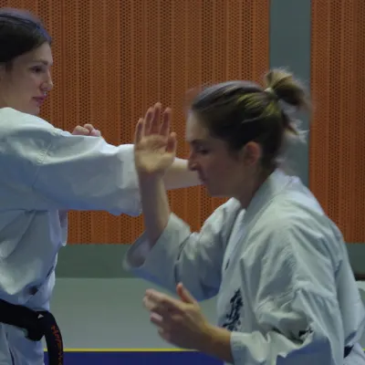 Stage avec Shihan André Gilbert 2012 — photo 21 sur 59