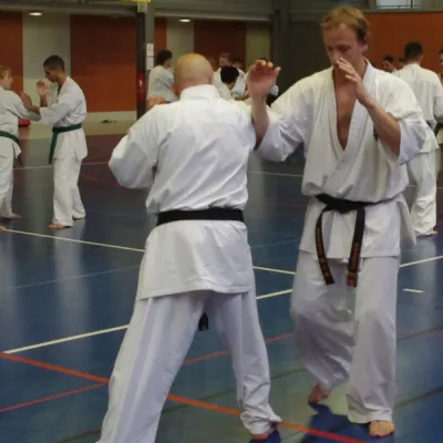 Stage avec Shihan André Gilbert 2012 — photo 22 sur 59