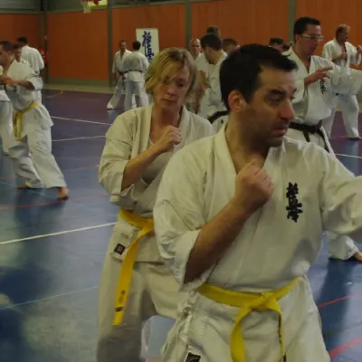 Stage avec Shihan André Gilbert 2012 — photo 25 sur 59
