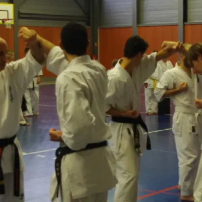 Stage avec Shihan André Gilbert 2012 — photo 27 sur 59