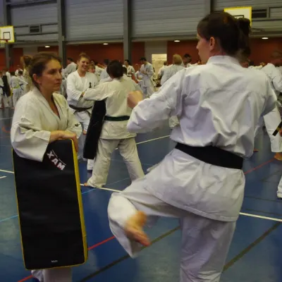 Stage avec Shihan André Gilbert 2012 — photo 30 sur 59