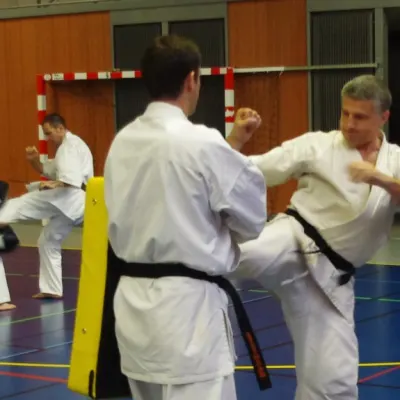 Stage avec Shihan André Gilbert 2012 — photo 31 sur 59