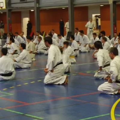 Stage avec Shihan André Gilbert 2012 — photo 35 sur 59