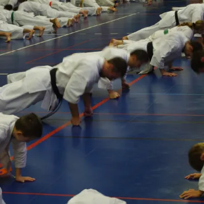 Stage avec Shihan André Gilbert 2012 — photo 37 sur 59