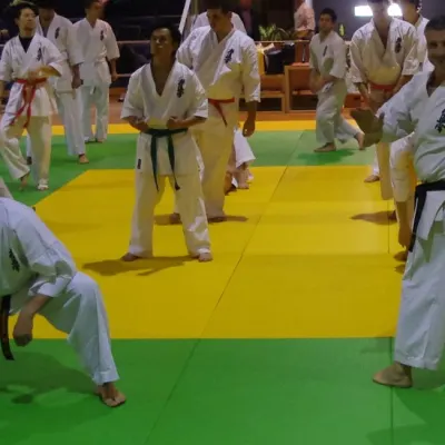 Stage avec Shihan André Gilbert 2012 — photo 43 sur 59