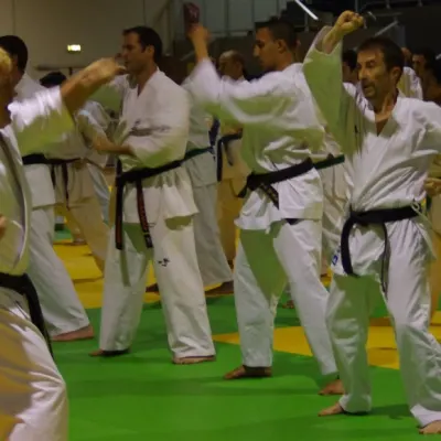 Stage avec Shihan André Gilbert 2012 — photo 45 sur 59