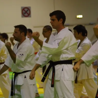Stage avec Shihan André Gilbert 2012 — photo 46 sur 59