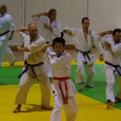 Stage avec Shihan André Gilbert 2012 — photo 47 sur 59