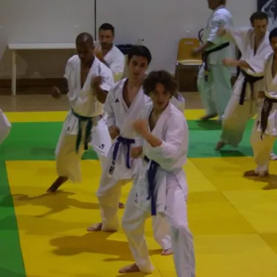 Stage avec Shihan André Gilbert 2012 — photo 48 sur 59