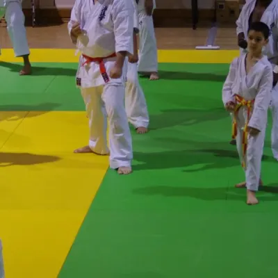 Stage avec Shihan André Gilbert 2012 — photo 49 sur 59