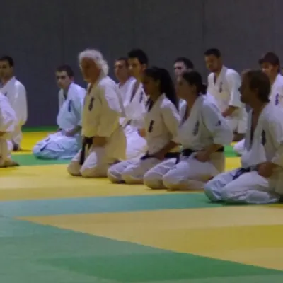 Stage avec Shihan André Gilbert 2012 — photo 50 sur 59