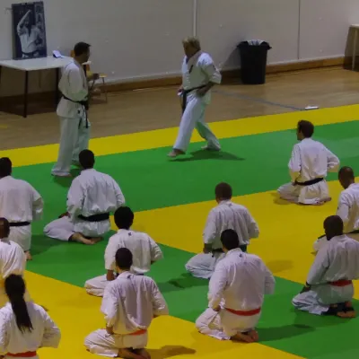 Stage avec Shihan André Gilbert 2012 — photo 53 sur 59
