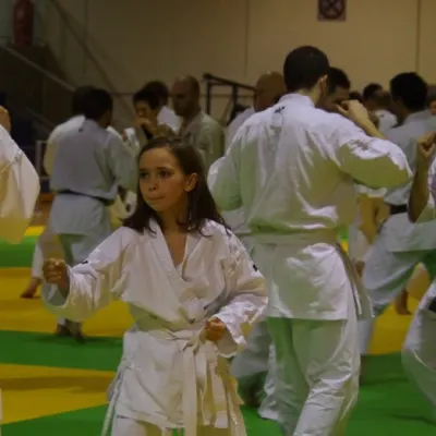 Stage avec Shihan André Gilbert 2012 — photo 54 sur 59